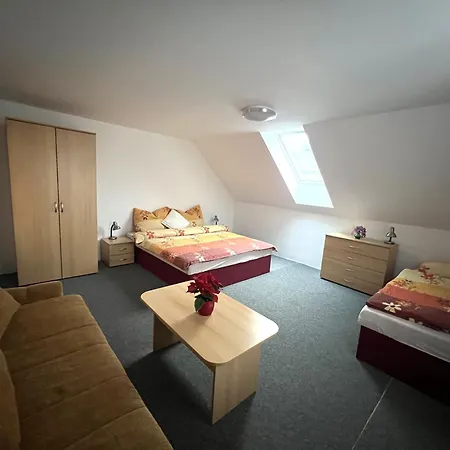 Holiday House Moravkovi Holiday home Horni Branna